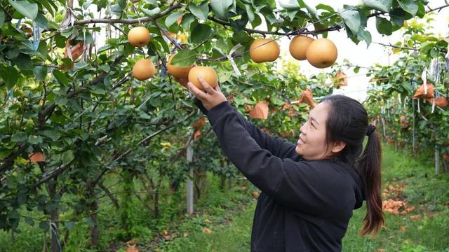 “人从众”模式开启！广饶，太热闹了！！