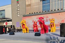 赶年集、逛庙会、赏舞狮……雄安新区2025年新春嘉年华活动启动图片