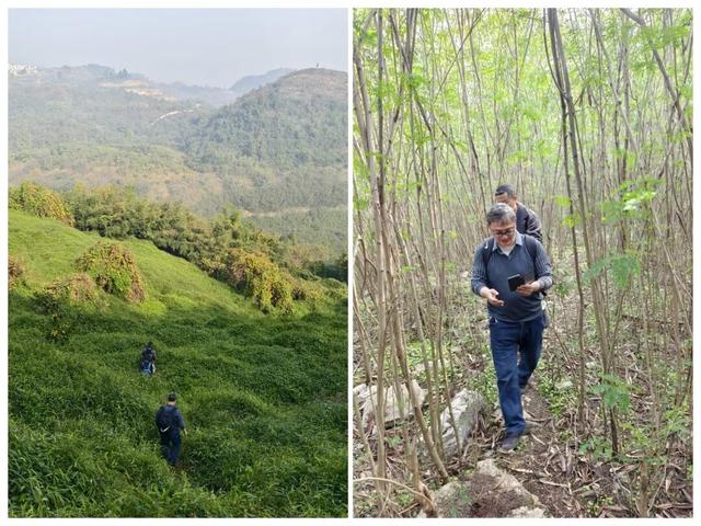 惊险刺激！重庆大渡口小众徒步路线，走完全程需要勇气