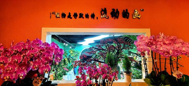 藏在秦岭花世界里的「森系秘境花店——花缘集」，来了就不想走！