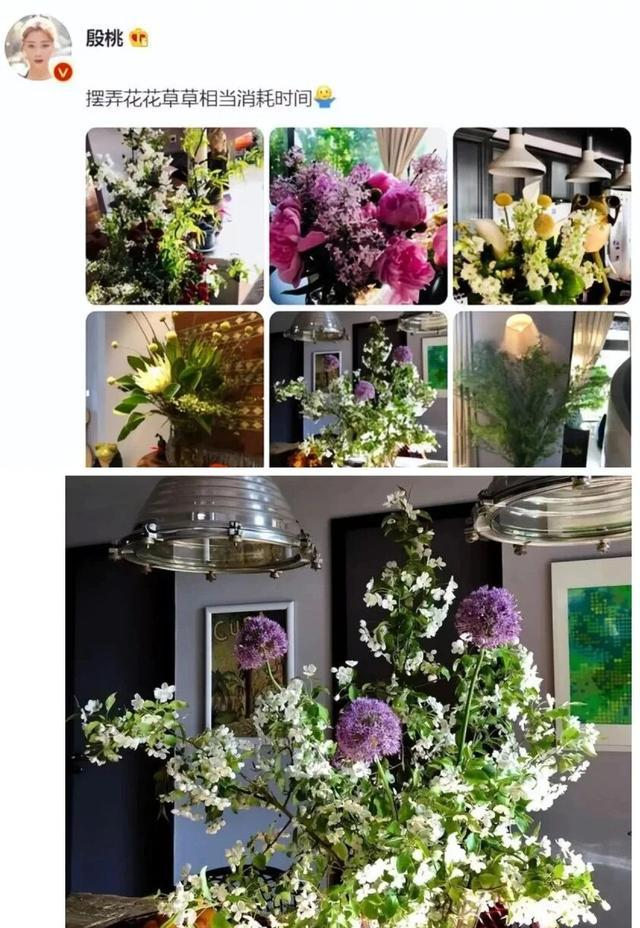 46岁殷桃的“豪宅	”又火了	，仅一院子就圈粉无数，那叫一个壮观！