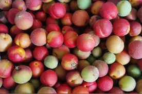 自制枕头——缓解颈椎的好物图片