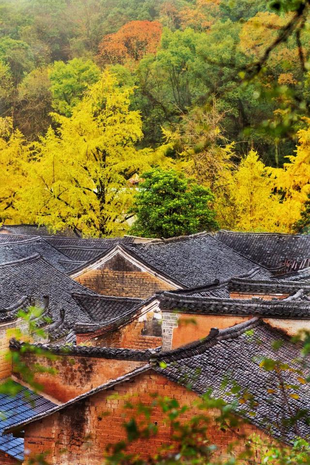 11月旅行地推荐！这13个赏秋地无对手，还藏着国内四大绝美秋色