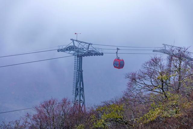 雾里的龙头山，藏着草木与溪流的私语