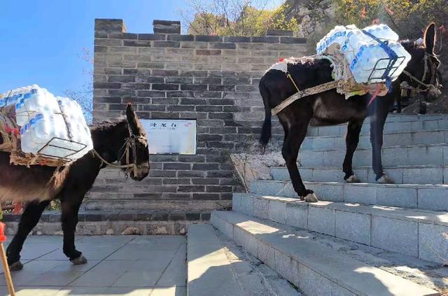 到河北张家口登鸡鸣山