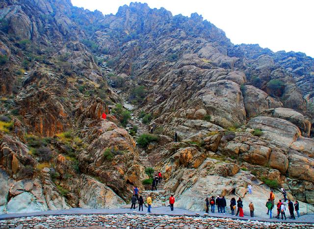 宁夏旅游：从沙漠绿洲到贺兰山岩画揽胜（图）