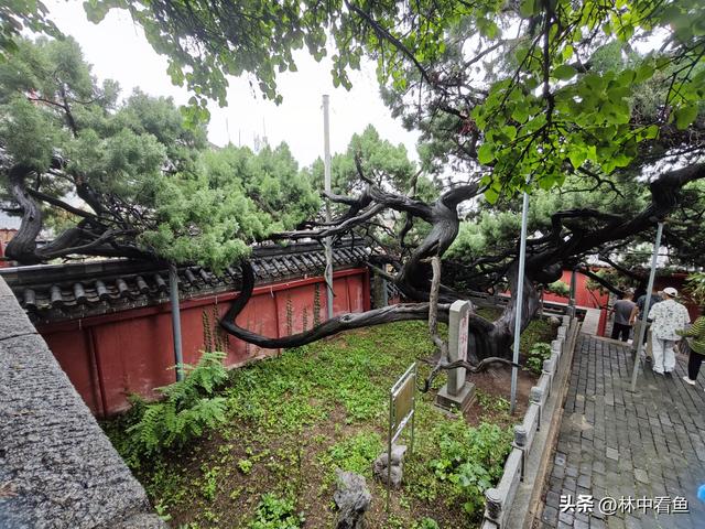 徒步登泰山之四—终章——冒雨徒步下山补看泰山关帝庙