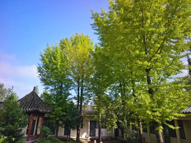秋雨初霁，腊山如画