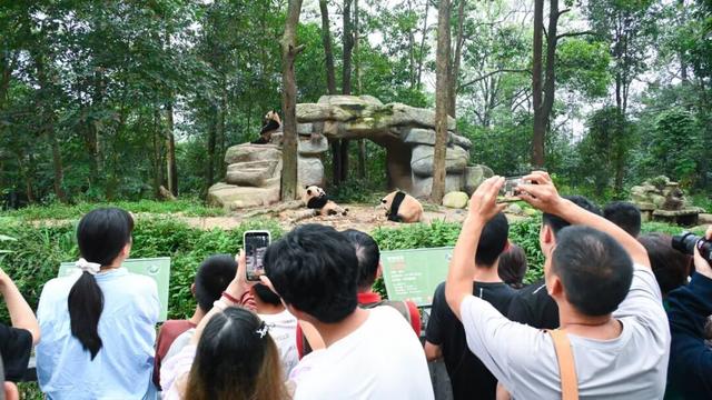 碧峰峡“川超”专属钜惠福利来袭！免票、半票豪情放送！