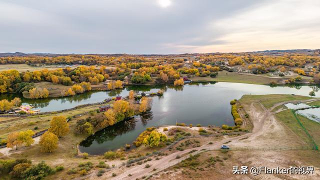 坝上寻秋续：一场穿越乌兰布统彩林的漫记