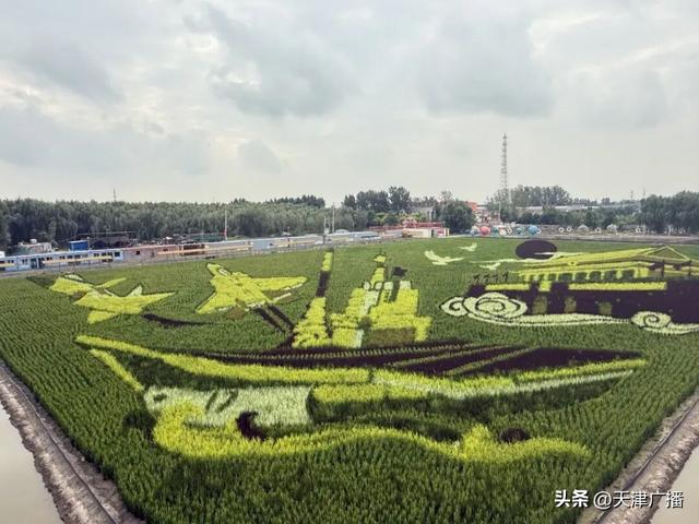 盘点 | 假期有雨还将降温！限号有变！消费券来了！还有......