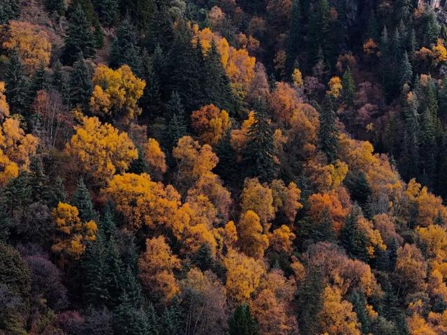 达古冰川 “季节盲盒” | 山顶雪堆成画，山下彩林留余韵