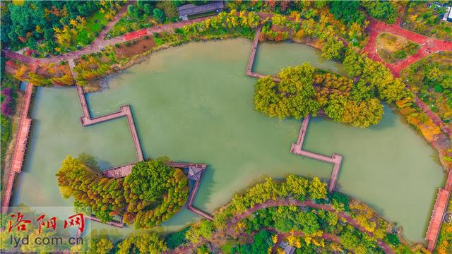 兴洛湖公园景如画