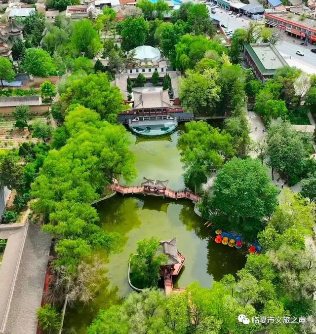 在临夏,把夏天过成诗——公园、夜景与音乐会的清凉邀约