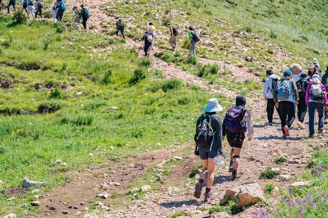 爬山群里的“纯友谊”：成年人的情感边界，藏在那根登山杖里……