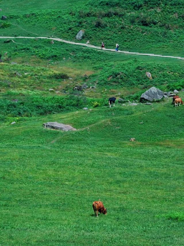 知道小凉山彝乡峡谷有多壮观吗？城巴佬！