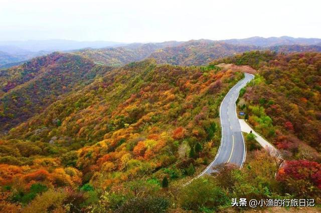 西安自驾2H，超惊艳赏秋路线推荐！红叶进入爆发期，路好景美人少