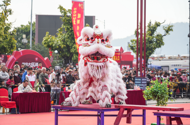 4天5夜沉浸体验，非遗与科技共舞！2026“肇庆广府文化庙会”精彩亮点抢先看→