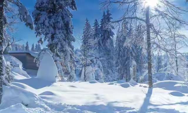 “冷不冷，看十月初一”，今日十月初一，今年冬天会十分寒冷吗？