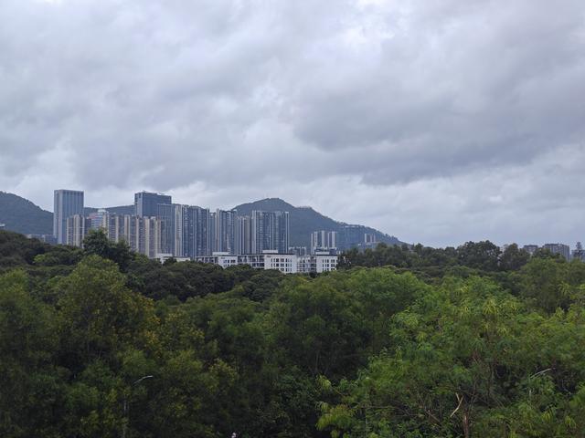 西丽湖国际科教城绿道高清随拍