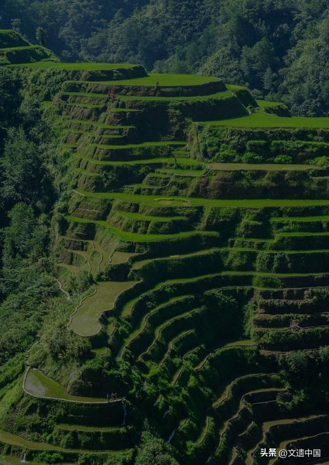 云端阆苑仙境，全球三大绝美梯田景观，个个世界文化遗产