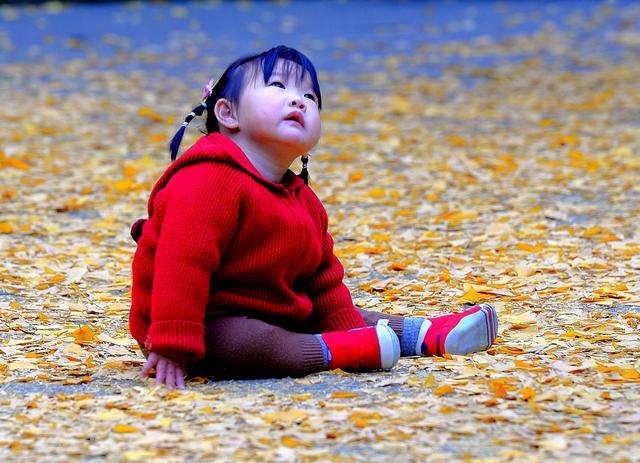 惠山古镇丨满地尽是🍂黄金甲