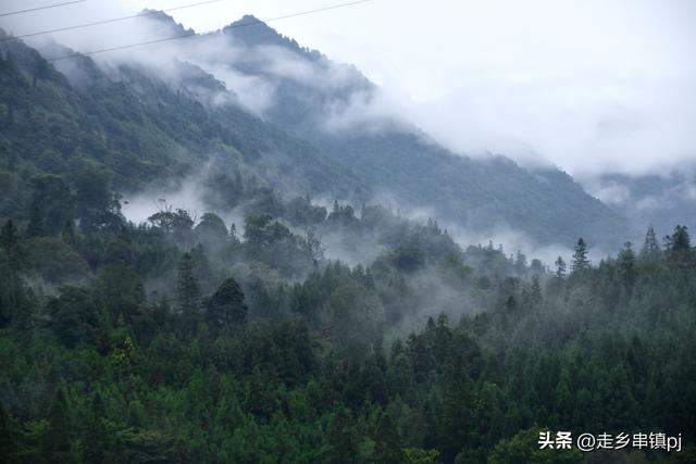 实话实说“大川”印象