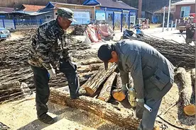 安图县石门镇：椴木木耳种出致富新门路图片