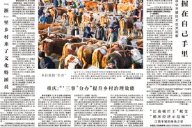 向新·向绿·向外：解析宁夏经济何以向好图片
