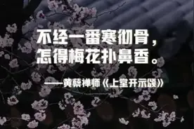 #最触动你的一句诗词或短句是什么#图片