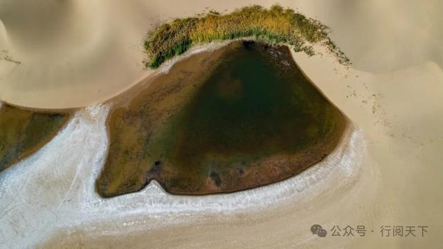 额济纳，额济纳，秋天必须要去额济纳，与金色胡杨林相遇