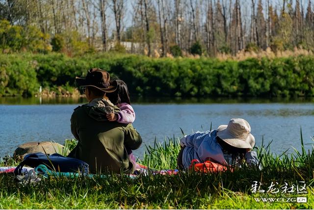 昆明草海公园：滇池边的诗意栖居