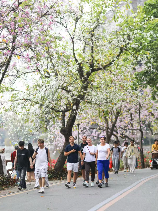 来了就不想走！老外爱上肇庆“年味”