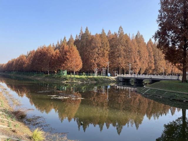 骑游仪征龙山森林公园、六合长江渔村