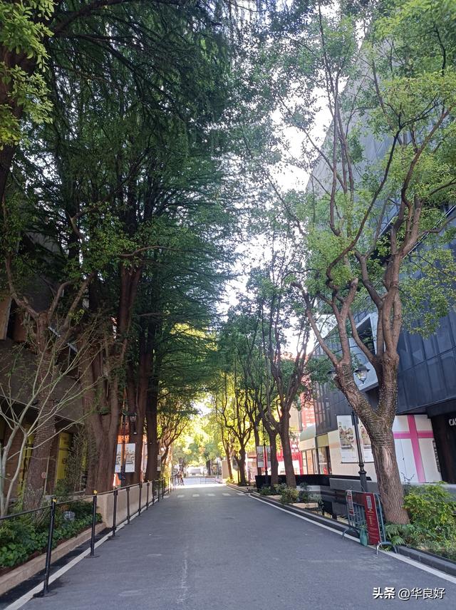 蜕变！变的更美！