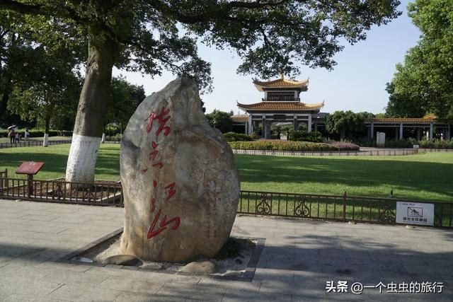 00后挤爆的橘子洲头！和毛爷爷‘合影’