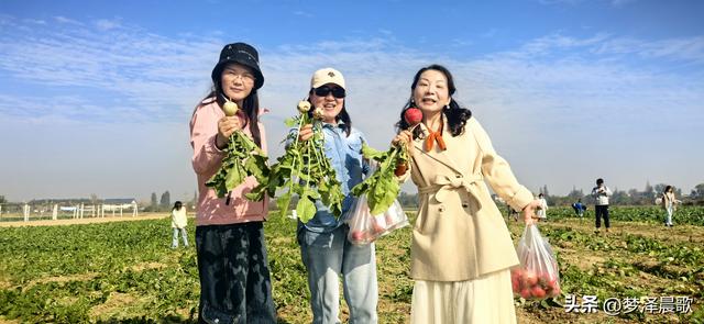 周末新玩法：云梦博物馆看秦简，新马村拔萝卜，武汉家庭乐翻天