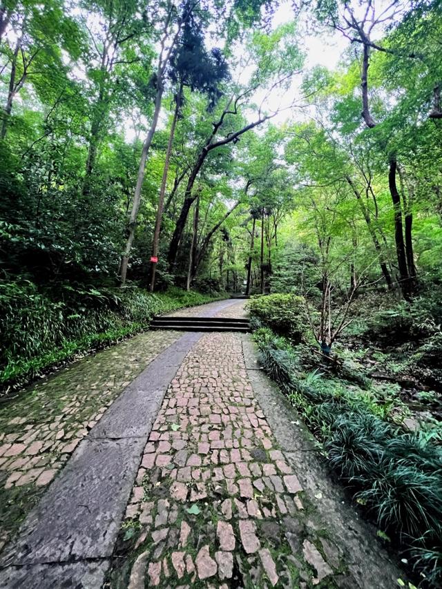 世界上只有中国浙江省杭州市才有的全球 “独一无二的10大奇景”