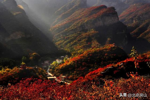 从“初见”到“浓烈”！坡峰岭红叶全景时间表■■■□□□□