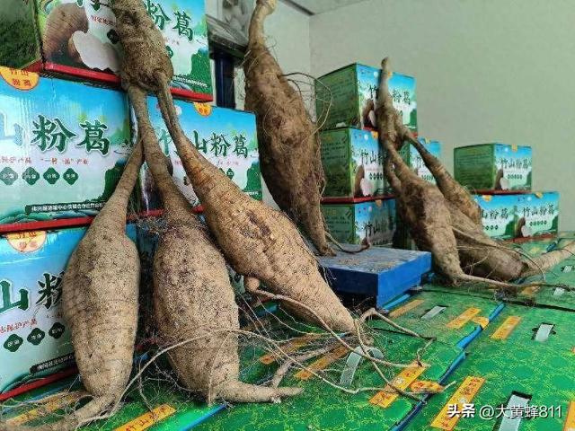 认识大美广东的每个县——第31波：佛冈