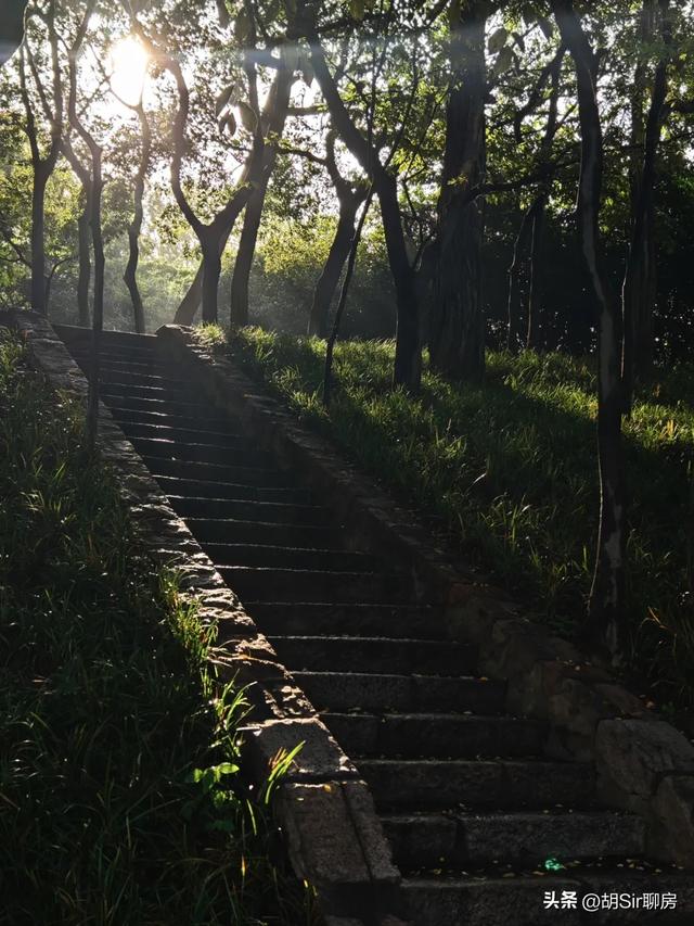 来青岛数十年，竟错过这里！