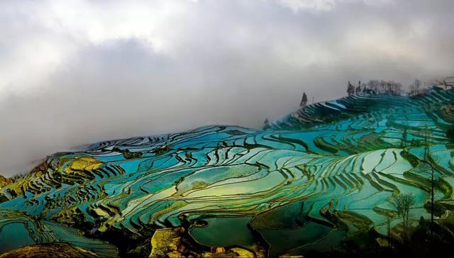 这个元旦，来元阳观赏梯田光影，参加百米长街宴吧