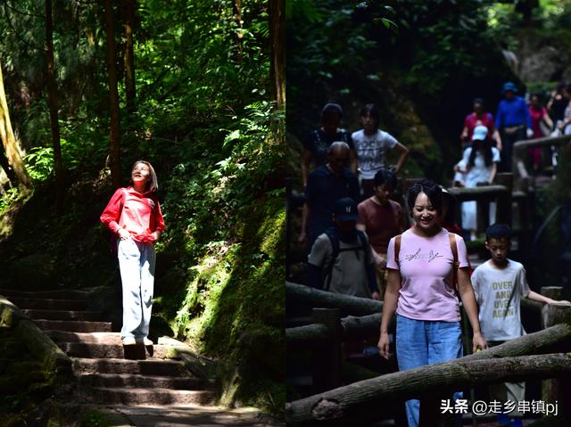 酷暑下的“青城天下幽”
