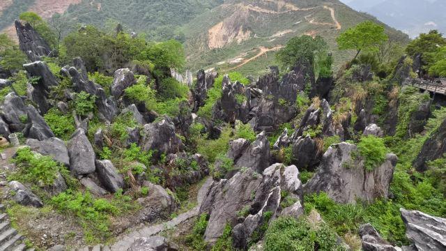 广西小众城市-贺州篇丨后悔没早发现这宝藏山水小城，适合短线游