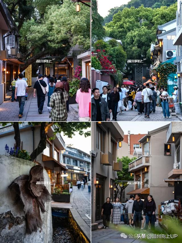 这条老街，我把它评为温州历史街区的“天花板”