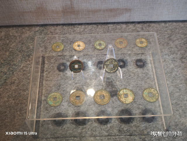 郑国霖雨中游万岁山，明星效应助推2025开封菊花花会文旅热度