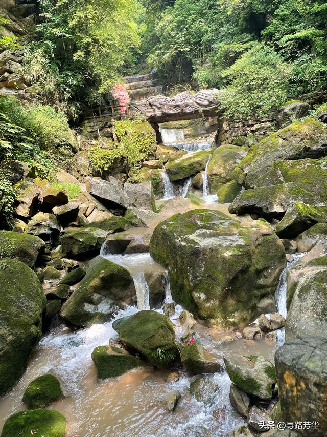 闲居南宝山，慢慢走，将时间浪费在山林之中