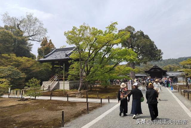 日本京都：走进鹿苑寺（金阁寺）
