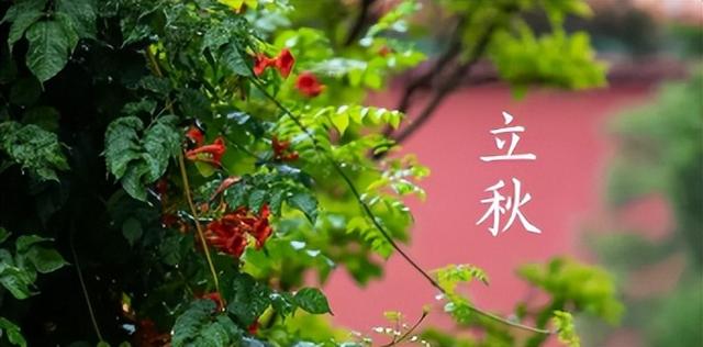 天津有哪些立秋习俗