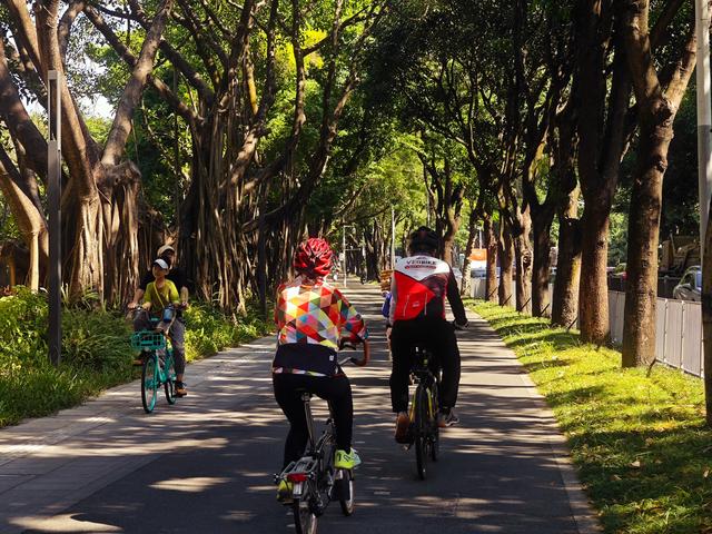 环西丽湖绿道骑行慢行随拍-动个好奇心